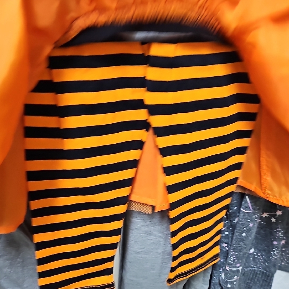 Nwt Size 4T Girls 2 Piece Cat Halloween Outfit - Picture 3 of 5